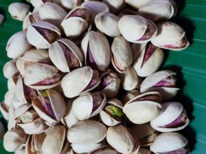 pistachio supplier