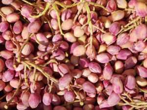 dried fruit and nuts supplier