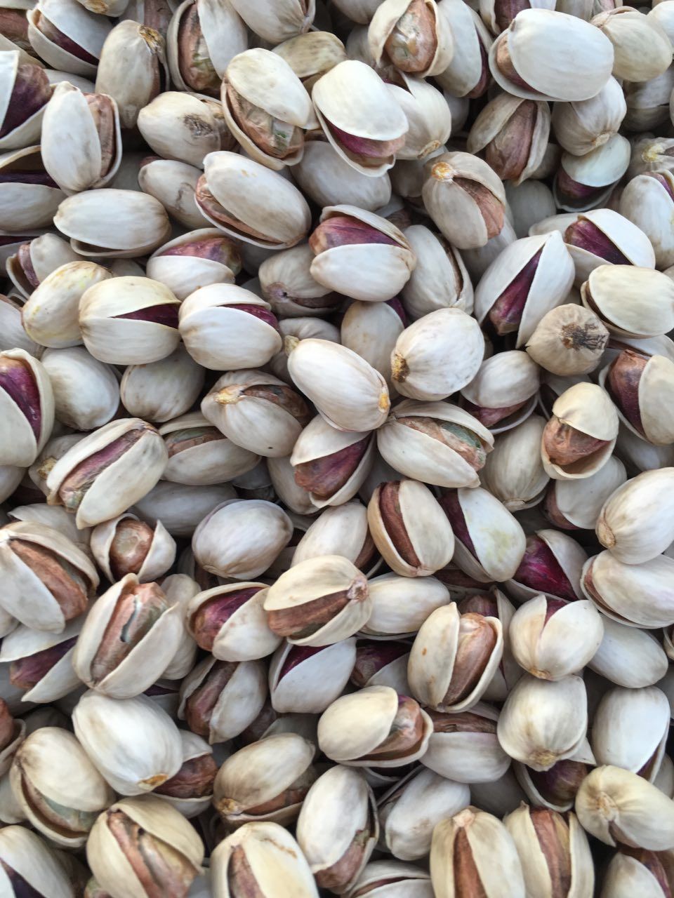 New Crop is available post thumbnail