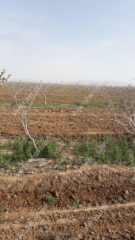 photo_2017-12-farm2 Taher's farm