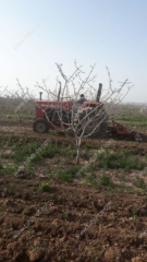 photo_2017-12-farm3 Taher's farm