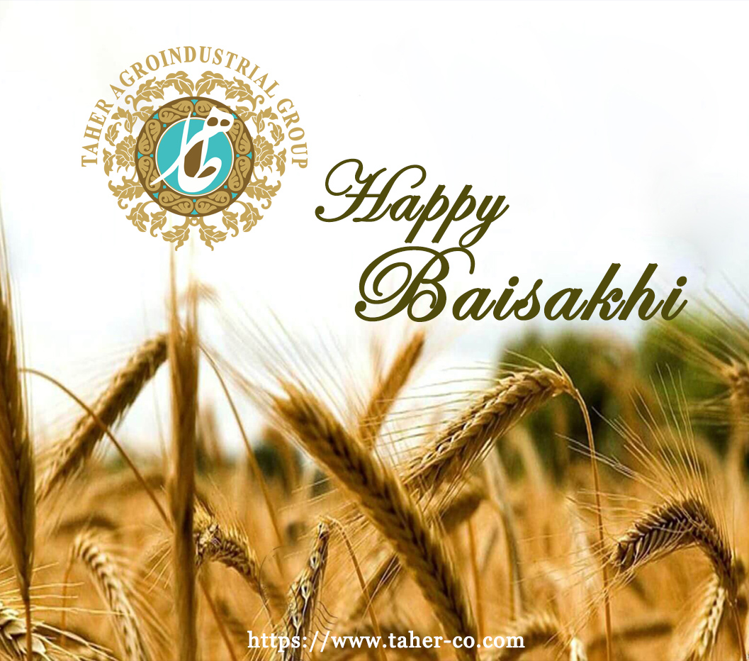 HAPPY BAISAKHI post thumbnail