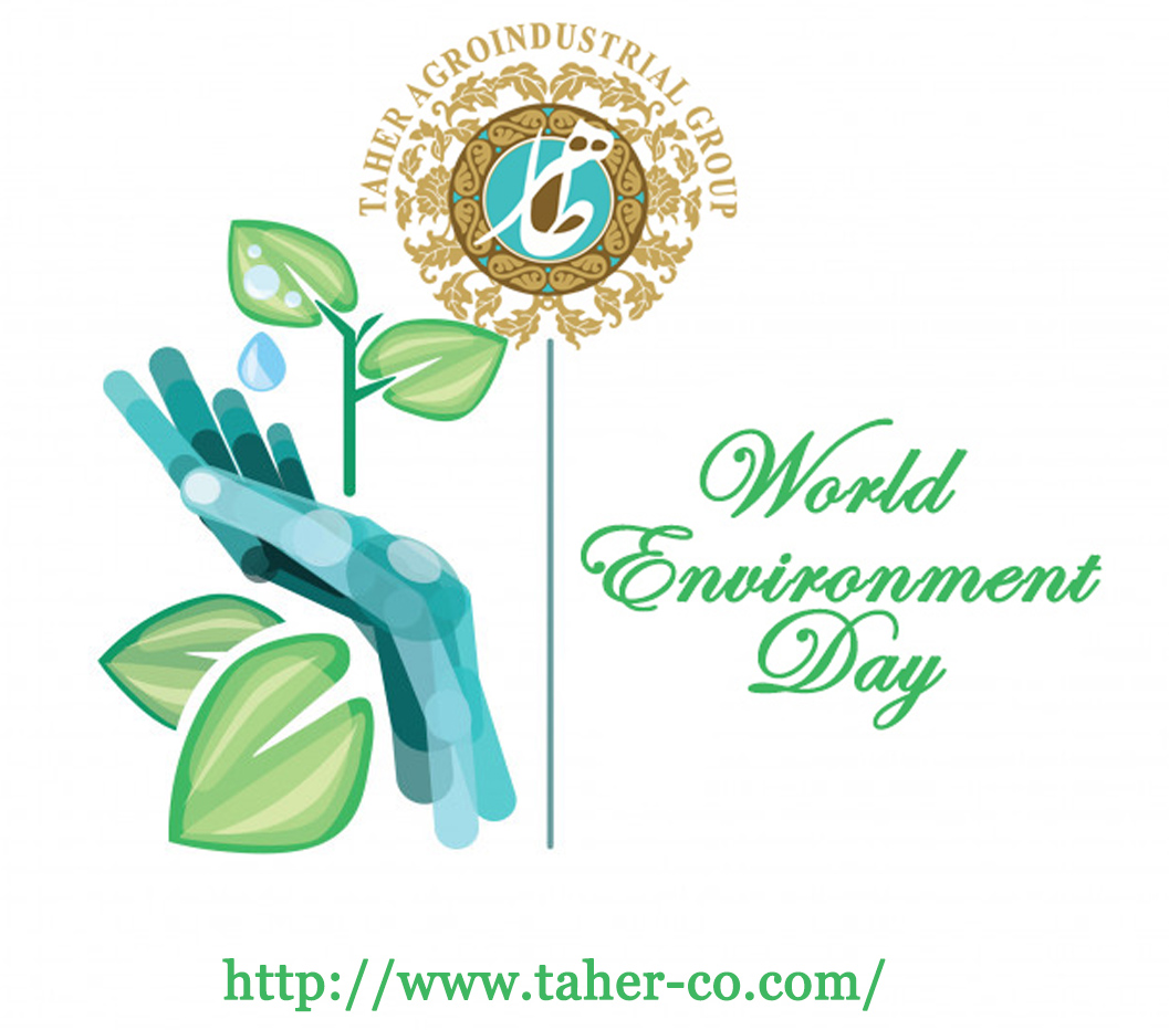 WORLD ENVIRONMENT DAY post thumbnail