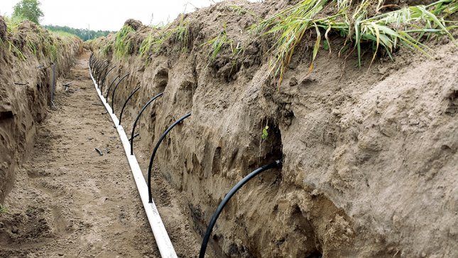 subsurface drip irrigation system