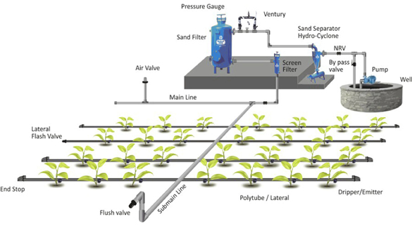 surface drip irrigation system