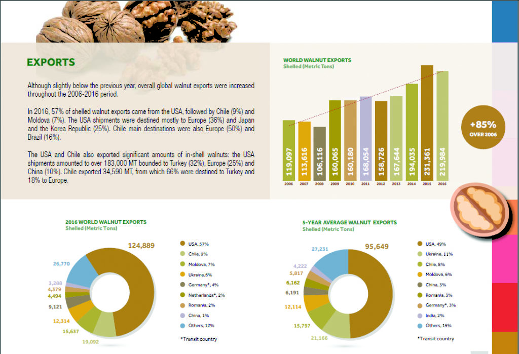Walnuts exports