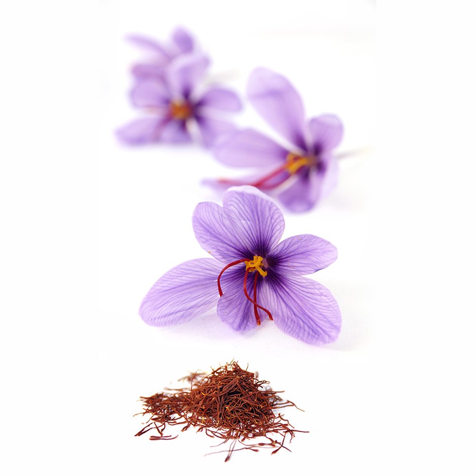 Saffron price hits $2600 per Kg in current Iranian year post thumbnail