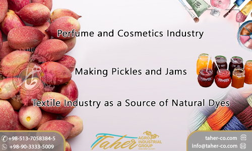 Fresh Pistachio Shells