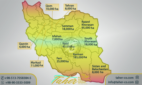 Iranian Pistachio Growing Regions