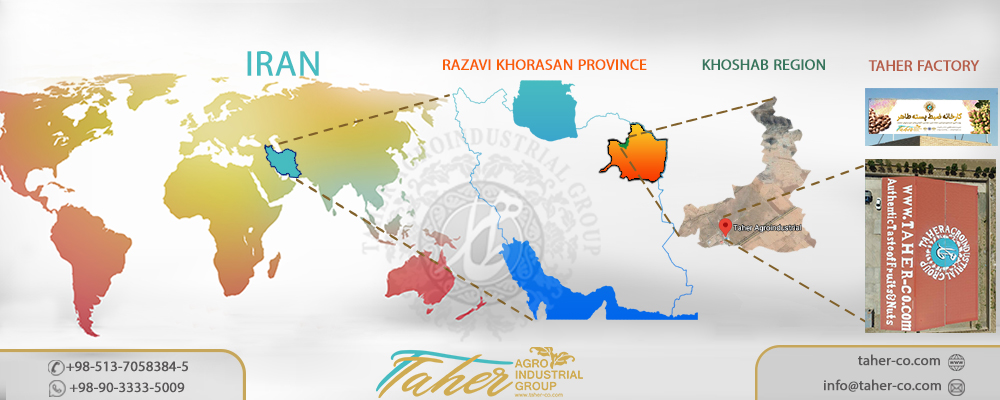 Taher Orchard and Factory