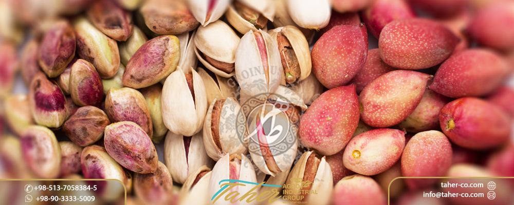 Iranian Pistachio inshell supplier