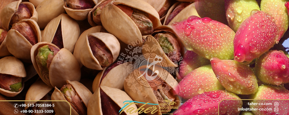 Iranian Pistachio supplier