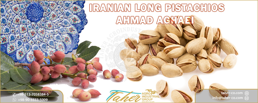 Ahmad Aghaei (Iranian Long Pistachios)