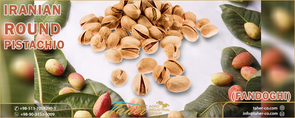 Fandoghi Pistachio-Iranian round Pistachio