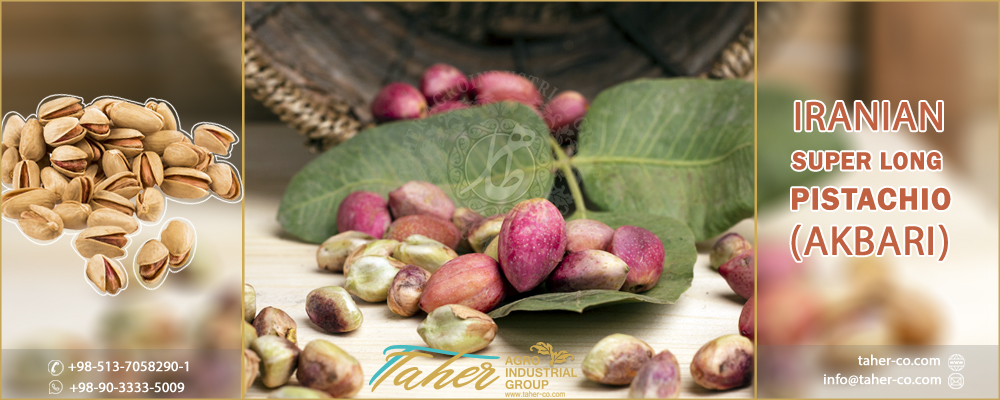 Akbari pistachio-super long pistachio