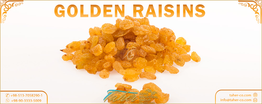 Iranian Golden Raisins
