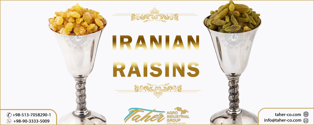 Iranian Raisins supplier