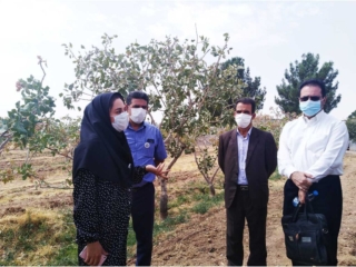 Pistachio-farm-day-2