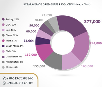 Iranian raisin production